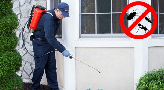 Palandöken Karınca İlaçlama böcek ilaçlama ve haşere kontrolü — ilaclama-tr.com